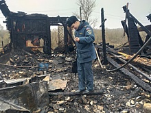 Угли как улика