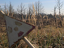 Рядом с хранилищем ядерных отходов в Удмуртии открыли новый вл бактерий