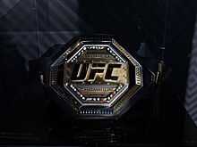 Дивизионы UFC, весовые категории, ростер бойцов UFC, титульные поединки в UFC, титульная гонка в UFC