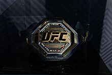 Дивизионы UFC, весовые категории, ростер бойцов UFC, титульные поединки в UFC, титульная гонка в UFC