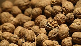 Грецкие орехи: питательная мощь или скрытая угроза
