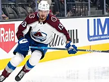 Агент Ничушкина отрицает связь его отъезда из "Колорадо" с алкогольным инцидентом