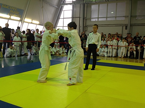 Около 250 спортсменов участвуют в мемориальном турнире по дзюдо в Котельниках