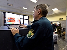 В московском аэропорту у иностранца нашли иконы стоимостью 1,3 миллиона рублей