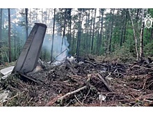 МАК обнародовал последние слова из кабины разбившегося под Тындой Ан-24