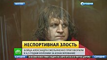 Жена Емельяненко: «Если девушка решила, что ее изнасиловали, то мужчину отправят за решетку»
