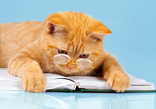 7 книг для детей, которые не любят читать. Им точно понравится!