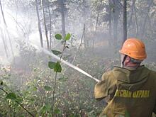 В Югре с 25 апреля начнется пожароопасный период