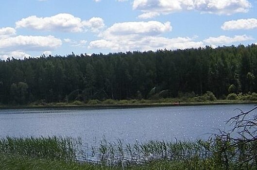 На Озернинском водохранилище в Подмосковье благоустроят два диких пляжа