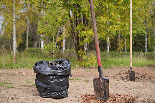 В Ижевске появилась четвёртая Аллея памяти героев СВО
