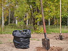 В Ижевске появилась четвёртая Аллея памяти героев СВО