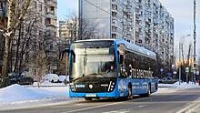 Протяженность маршрутов столичных электробусов выросла на 450 километров