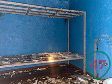 Под Петербургом обнаружили частную подземную тюрьму с крематорием