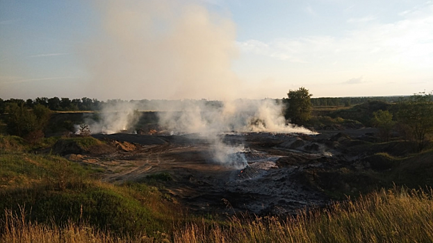 Жители Аткарска попросили Бусаргина переселить их в Саратов из-за горящих свалок мусора