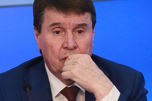 В Совфеде оценили заявление украинского вице-премьера по санкциям