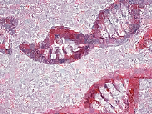 Рак диагностировали с помощью компьютерного зрения