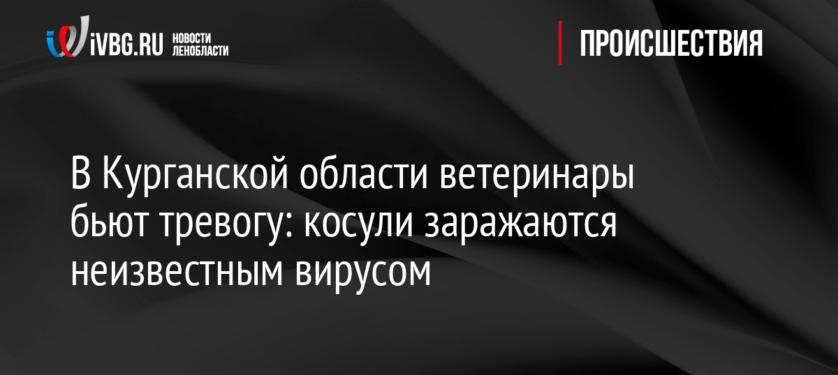 В Курганской области ветеринары бьют тревогу: косули заражаются неизвестным вирусом