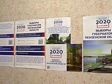 Пензенцы смогут выбрать губернатора, находясь в Москве