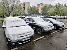 Москву накрыли заморозки