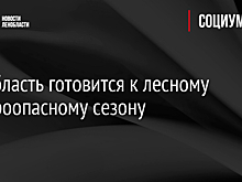 Ленобласть готовится к лесному пожароопасному сезону