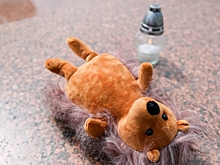 Умер 6-летний Тема Комаров, на лечение которого волгоградцы собирали деньги