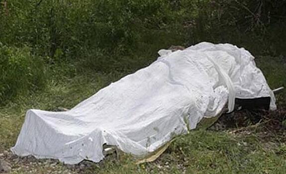 В Новороссийске нашли труп мужчины, обглоданный животными