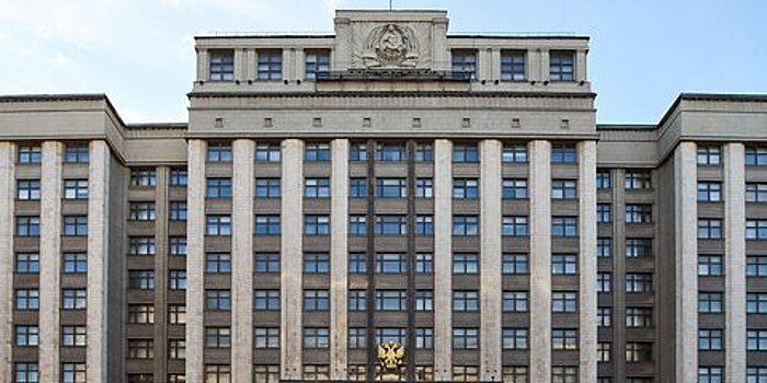 Госдума приняла законы о допгарантиях верховенства Конституции РФ