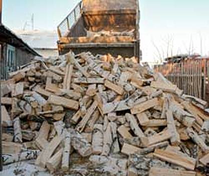 Соцсети взорвала акция по сбору дров для одиноких стариков Челябинской области