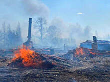 Площадь лесных пожаров в Свердловской области выросла до 54 тыс. га