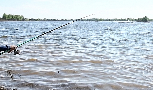 В Волгоградской области с 1 мая начал действовать запрет на рыбалку