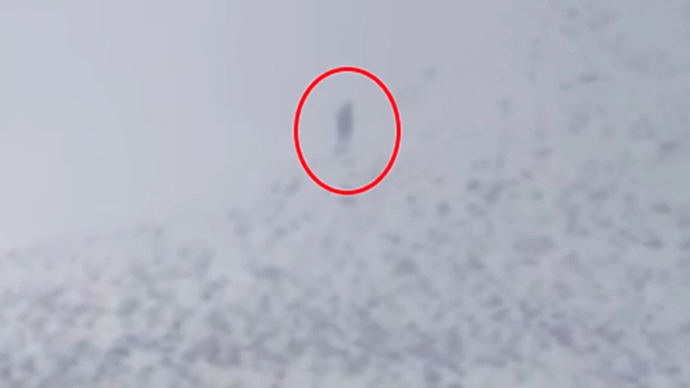 Туристы сняли снежного человека в горах США: видео