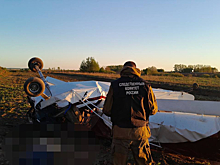 Пилот разбился на самодельном самолете во Владимирской области