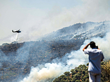 В Испании и Португалии бушуют лесные пожары