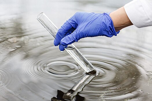 Ученые определили лучшие субстраты для выращивания бактерий, очищающих сточные воды от фосфатов