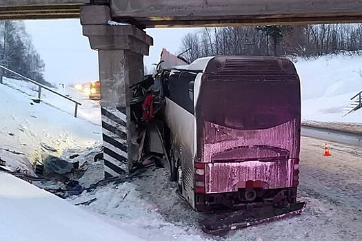 Полиция возбудила уголовное дело после смертельного ДТП с пассажирским автобусом в Рязанской области