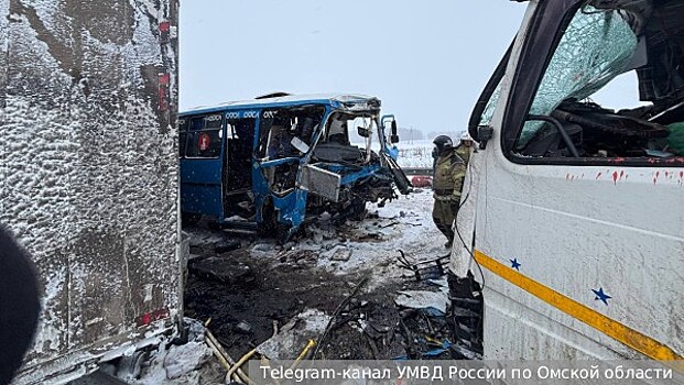 Опубликовано видео момента крупного ДТП с шестью погибшими в Омской области