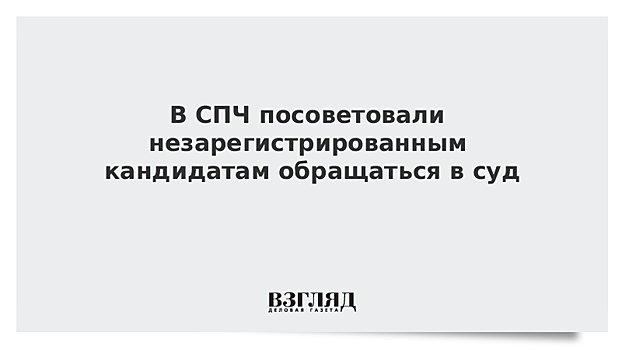 Член СПЧ: незарегистрированным кандидатам в Мосгордуму надо обращаться в избиркомы и суды