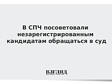Член СПЧ: незарегистрированным кандидатам в Мосгордуму надо обращаться в избиркомы и суды