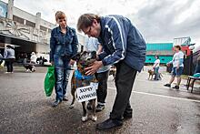 «Меридиан» приглашает Жителей Гагаринского района на выставку кошек и собак