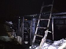 В Сарапуле в пожаре на улице Добролюбова погибли поросята