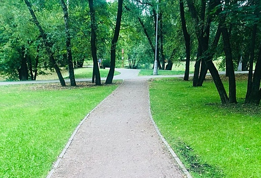 В парке «Усадьба Воронцово» планируют восстанавливать дорожно-тропиночную сеть