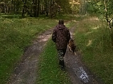 Площадь охотничьих угодий увеличилась в Нижегородской области