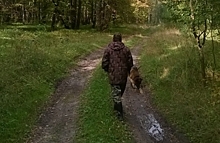 Площадь охотничьих угодий увеличилась в Нижегородской области