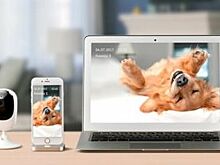 В Курске 400 компаний подключили услугу «Видеонаблюдение» от «Ростелекома»