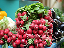 Как изменятся цены на сезонные продукты осенью: «вопрос к прокуратуре»