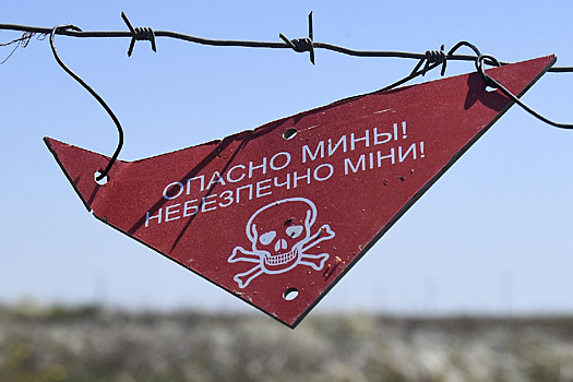 Житель Брянской области подорвался на мине ВСУ