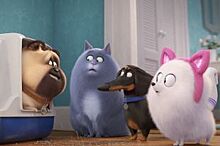Жители Перми первыми увидят мультфильм «Тайная жизнь домашних животных 2»
