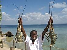 Появились перспективы развития туризма в Мозамбике