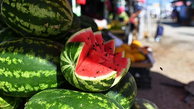 В России подешевели арбузы