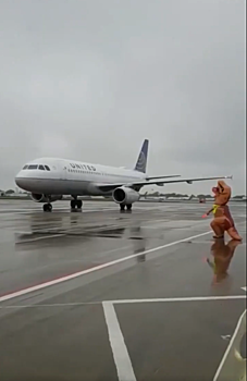 Сигнальщик-динозавр развеселил гостей аэропорта